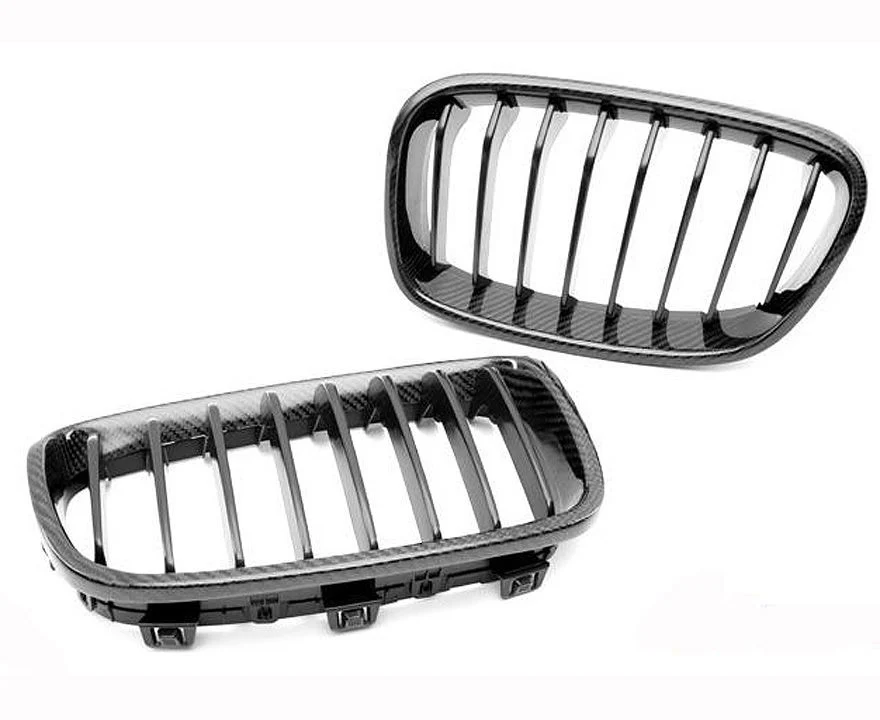 F20, F21 carbon fibre front grilles